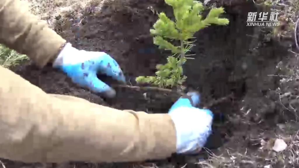 青?，斂珊恿謪^：加強生態保護，創新綠色發展新路徑